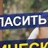 Не позволяйте им украсть вашу энергию 5 признаков энергетического вампиризма от экстрасенса