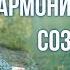 Музыка Гармонизирующая Сознание Для Сна Исцеление Подсознательных Зажимов И Блоков Во Время Сна