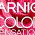 Garnier Color Sensation Hair Ad