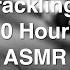 ASMR White Noise 10 Hours Vinyl Crackling Sound