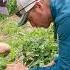 Soil Study At Dickinson College Farm