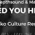 Roman Depthsound Maria Estrella Need You Here Nikko Culture Remix