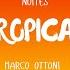 Noites Tropicais