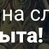 Родина слонов закрыта Обращение Михаила Родина