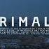 Primal5 Radio 026 Aaron Sevilla Afro Melodic House House DeepHouse Blanc Selected