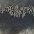 ROTTING KINGDOM ENCOFFINATION Split 2022