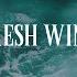 FRESH WIND Instrumental Soaking Worship Music Prayer Worship Music