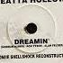 Loleatta Holloway Dreamin Satoshi Tomiie Shellshock Reconstruction Mix