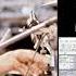 Fool In The Rain Led Zeppelin Drum Track