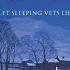 Let Sleeping Vets Lie Vet In Harness By James Herriot Audiobook