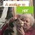 Рэп про кошку Rap About Cat