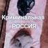 Криминальная Россия