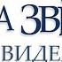 А звезды видели все 13 я часть Тамара Резникова Роман христианский