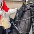 CLASSIC 10 EPIC MELTDOWN SEES GUARD AND POLICE PUSH THE PANIC BUTTON At Horse Guards