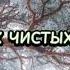 На белых чистых облаках