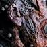 FREE Darksynth EBM Industrial Type Beat PUTREFACTION Background Music