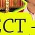 Subject Verb Agreement English Grammar For Beginners Basic English ESL
