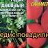 Редис посадили редис огород огородныедела сажаем редис редиска