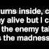 Skillet Madness In Me Lyrics On Screen HD