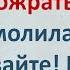 Анекдот Поймали Волки Собаку