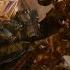Transformers Revenge Of The Fallen Optimus Prime Vs The Fallen HD CLIP
