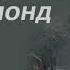 Ограбление в Хэммерпонд парке Герберт Уэллс Аудиокниги