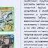 4 Виды заданий тренажера Кластеры заданий по читательской грамотности