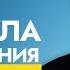 Деньги Потекут Потоком Как Безумные Доктор Джо Диспенза