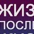 Мировой бестселлер доктора Рэймонда Моуди ЖИЗНЬ ПОСЛЕ ЖИЗНИ 2 часть