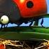 Fly Hunting Minuscule 20 Compilation