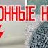 Антарктида сенсационные находки Виктор Максименков