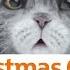 Mog S Christmas Calamity Sainsbury S Ad Christmas 2015