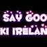 Don T Say Goodnite Kiki Ireland