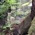 BIGFOOT CAUGHT ON CAMERA 2021 BEST VIDEO FOOTAGE EVER 4K YETI SASQUATCH AUTHENTIC REAL