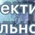 17 Субъективная реальность Нилл Дональд Уолш Дома с Богом