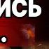СЧИТАННЫЕ ЧАСЫ ДО ФИНАЛЬНОГО АДА Михал Чаплыга прямой эфир