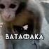 чё те надо