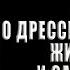 Не рычите на собаку Книга о дрессировке людей животных и самого себя Карен Прайор Аудиокнига