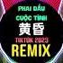 Phai Dấu Cuộc Tình TBynz Remix Tiktok 2023 黄昏 越南鼓DJ抖音版 Hot Tiktok Douyin