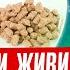 Хотите продлить себе жизнь на 15 20 Тогда ешьте ЭТО обязательно