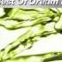BROOKLYN BOUNCE Get Ready To Bounce Recall 08 Dream Dance Alliance R