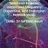 Brain Healing Music Serotonin Release Happiness Frequency Dopamine And Endorphin Release Music