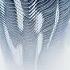 Lorenzo Ferrara Inexorable Hypersonic Music