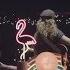 Tash Sultana LIVE Stream At Sidney Myer Music Bowl Melbourne AU