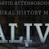 David Attenborough S Natural History Museum Alive 2014