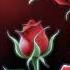 MaRLo Linney Roses Thorns Official Lyric Video