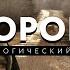 Психологический обзор на роман Дорога Кормака Маккарти