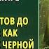 Аудиокниги В военную академию требуется Аудиокниги слушать