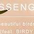 Passenger Beautiful Birds Feat BIRDY Official Video