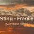 Sting Fragile Callmearco Remix